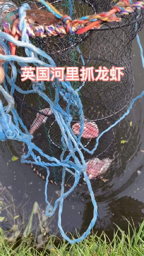 海外抗疫日记